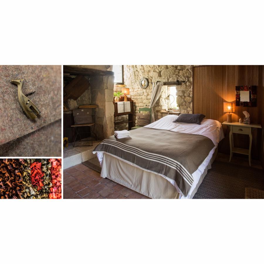 La Grande Maison D'Arthenay Bed and Breakfast Saumur Exterior foto